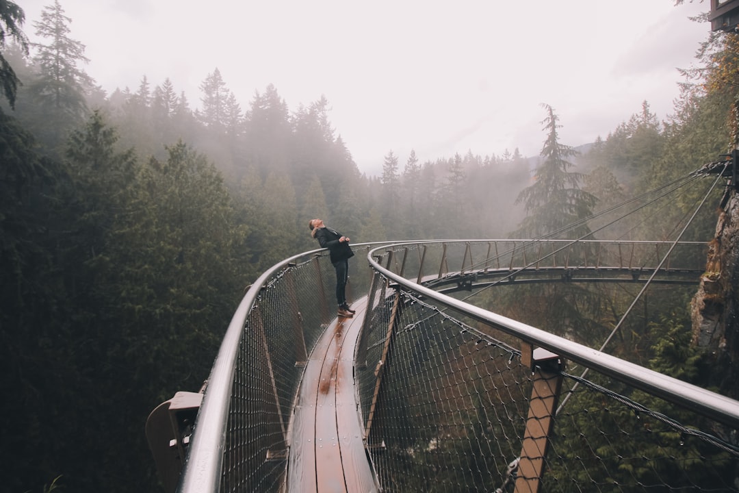Photo Suspension straps